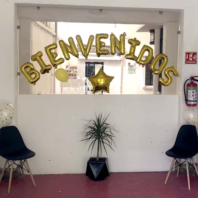 bienvenidos pets plaza pensión para mascotas