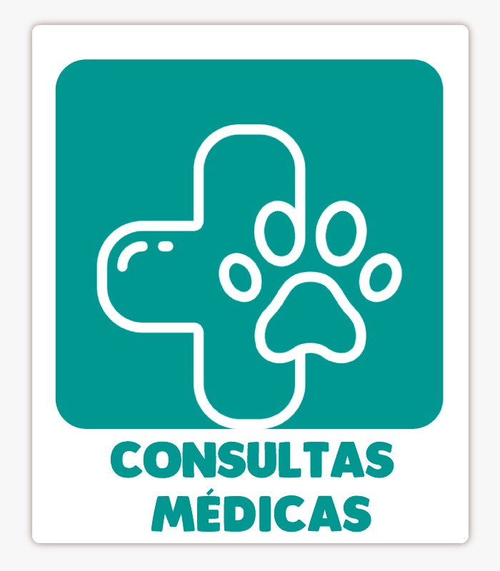 consultas medicas veterinarias y de especialidad