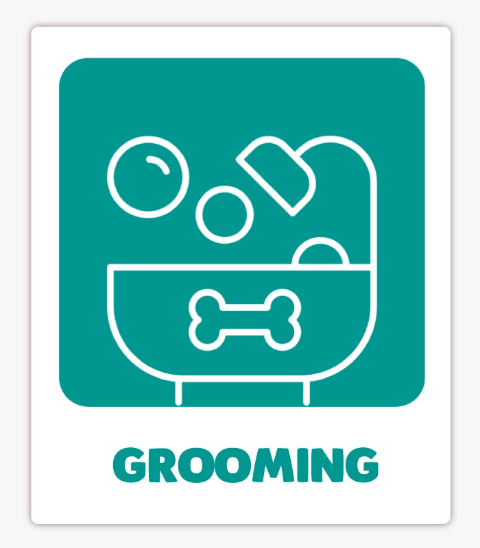 servicio de grooming