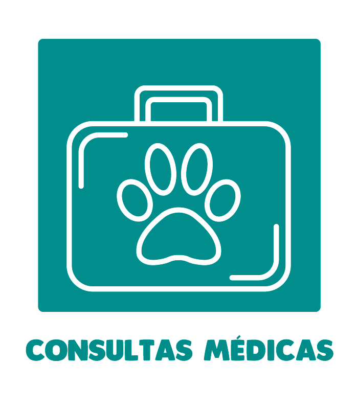 consultas veterinarias