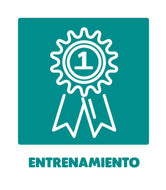 entrenamiento canino