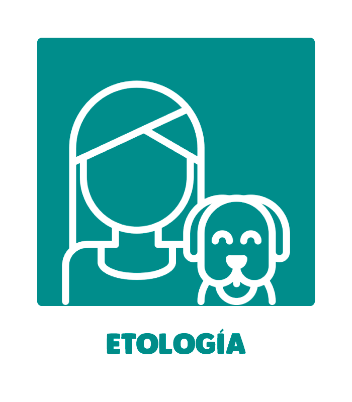 etologo canino