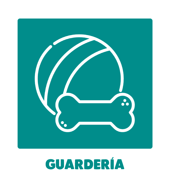 guardería perros