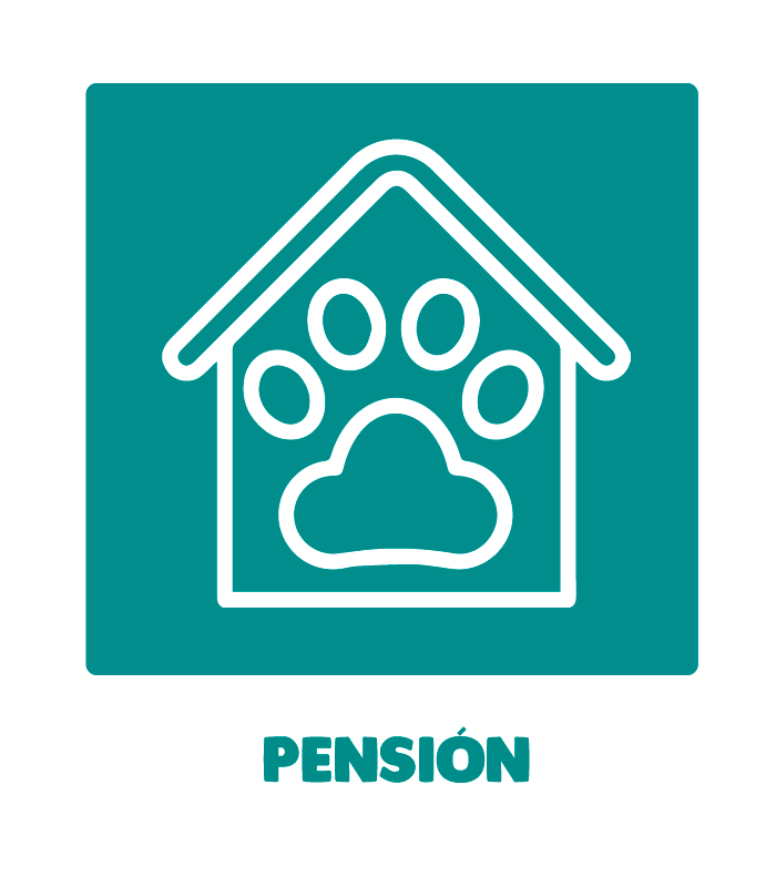 pension mascotas