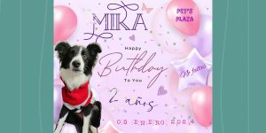 MIKA-2-AÑOS