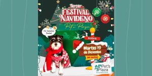 3ER FESTIVAL NAVIDEÑO